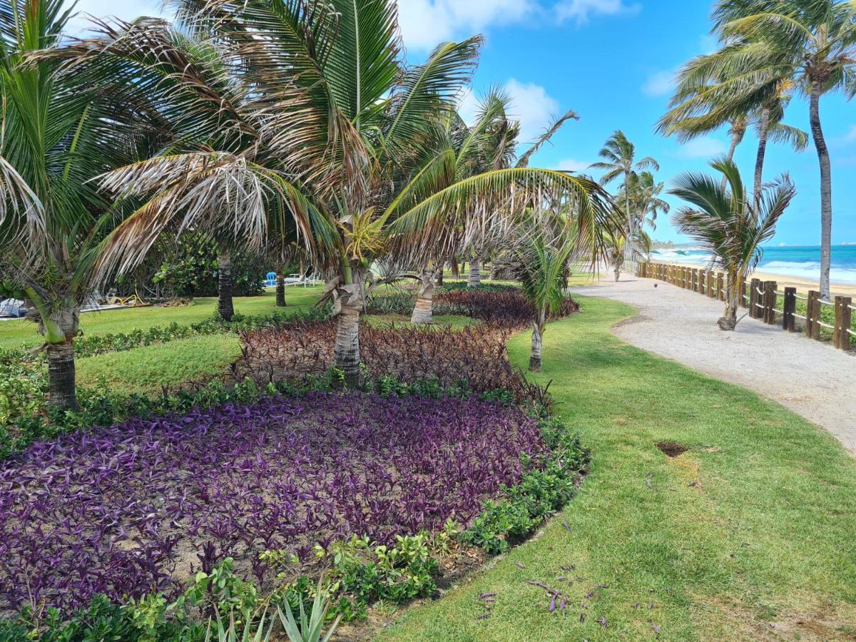 Apartamento Eco Life Pôrto das Galinhas Esterno foto